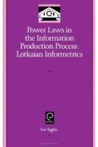 Power laws in the information production process