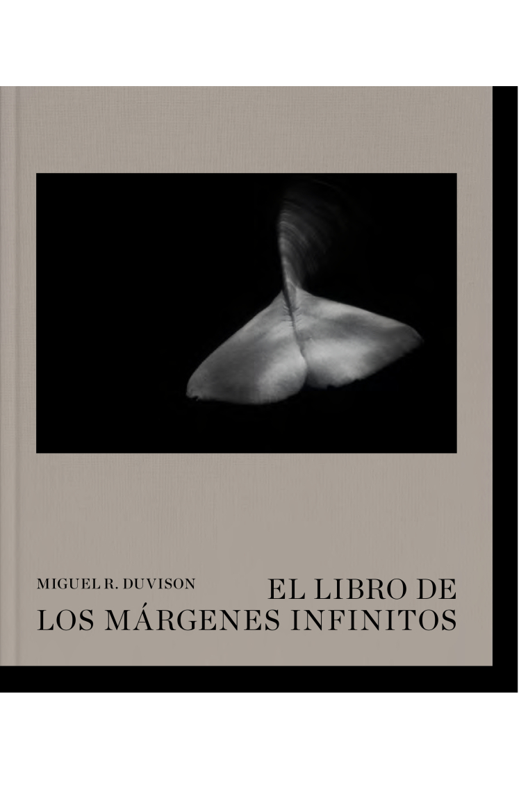 El libro de los márgenes infinitos