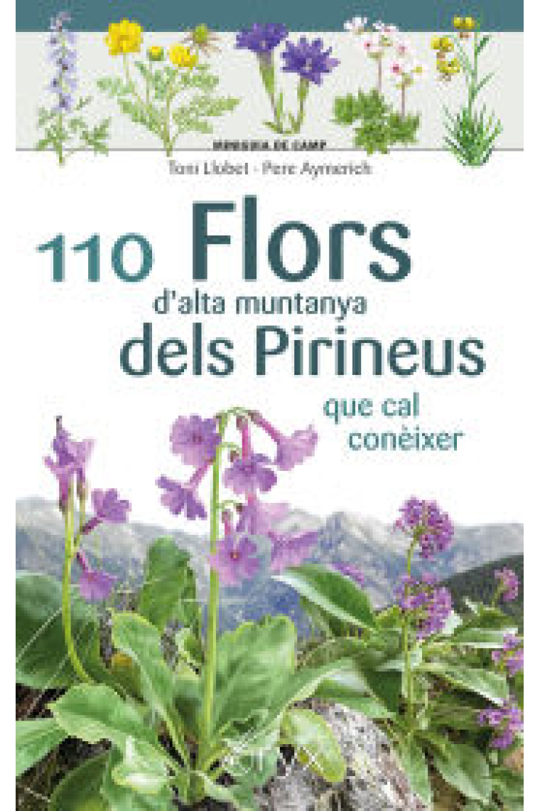 110 Flors d'alta muntanya dels Pirineus que cal conèixer