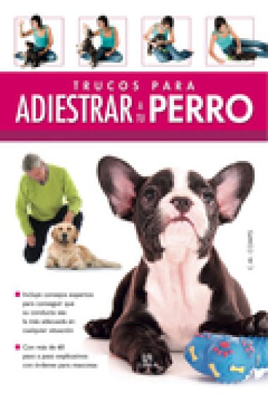 Trucos para adiestrar a tu perro