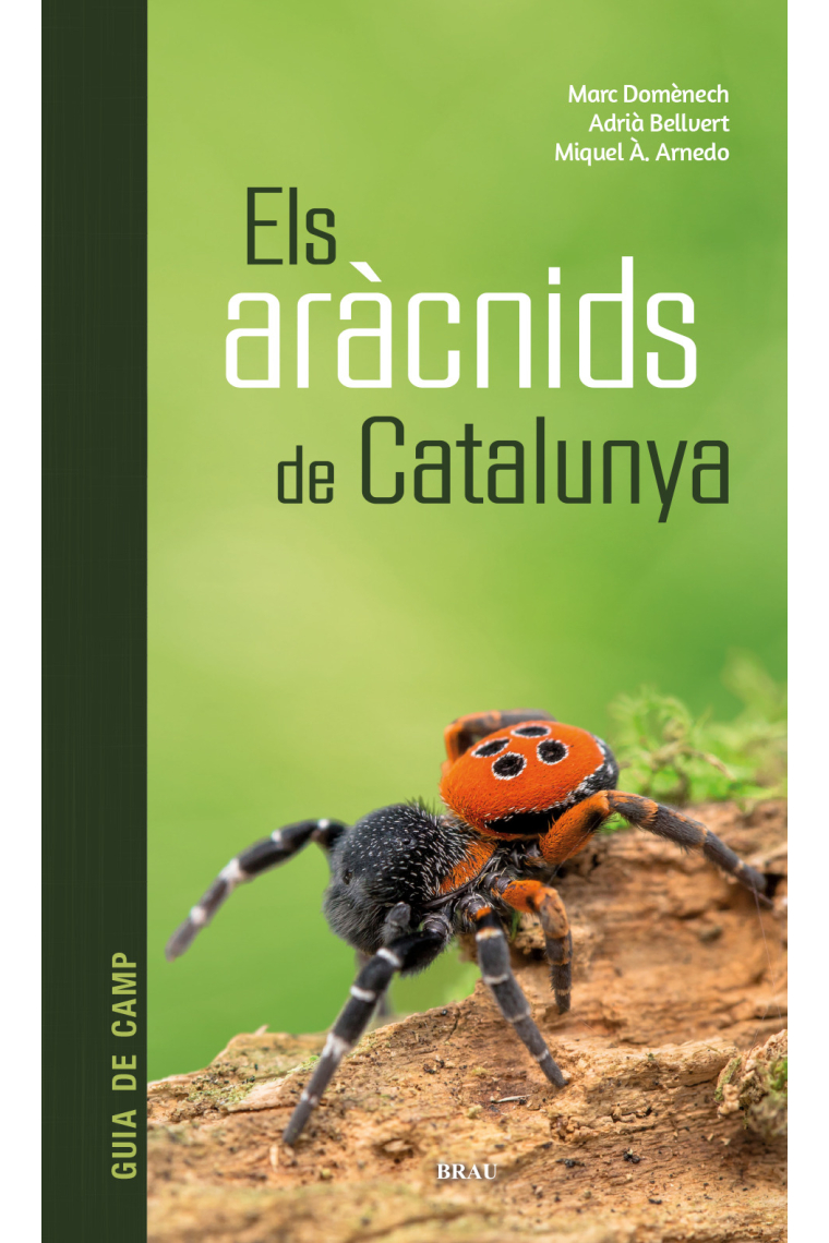 Els aràcnids de Catalunya