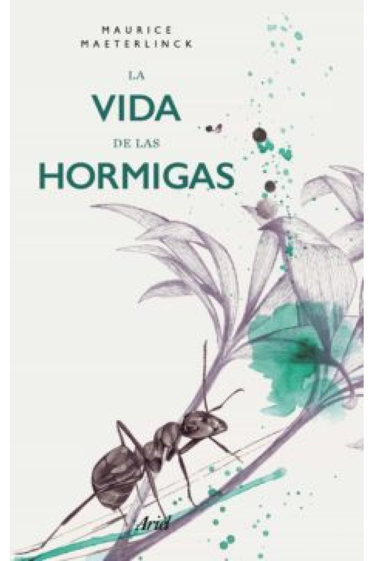 La vida de las hormigas