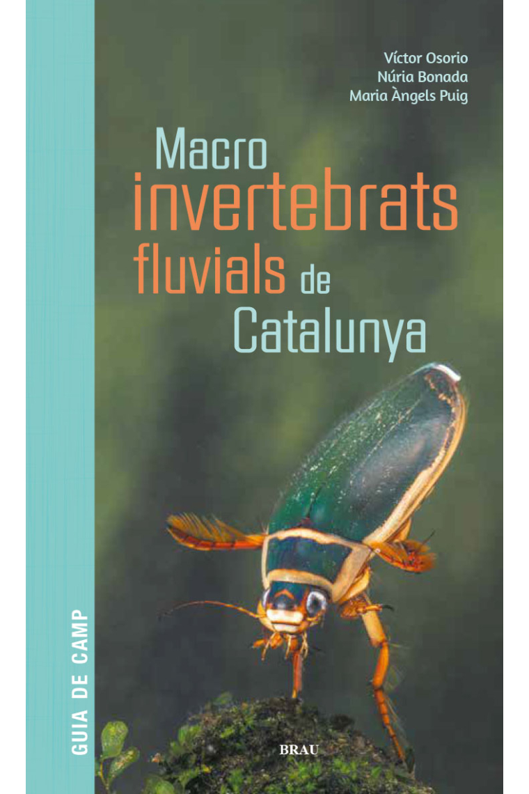 Macroinvertebrats fluvials de Catalunya