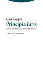 Principia Iuris: Teoría del derecho y la democracia: (Vol. 3): La sintaxis del derecho