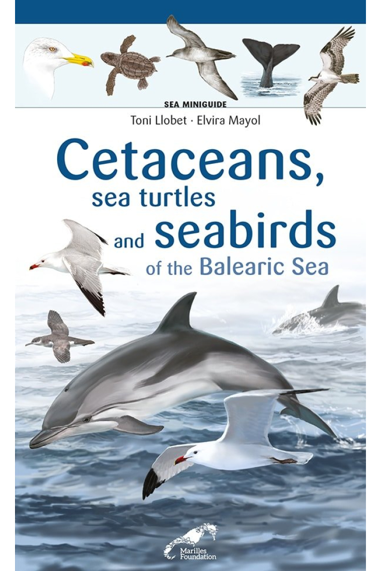 Cetaceans, sea turtles and seabirds of the Balearic Sea