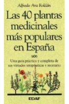 Las cuarenta plantas medicinales más populares en España