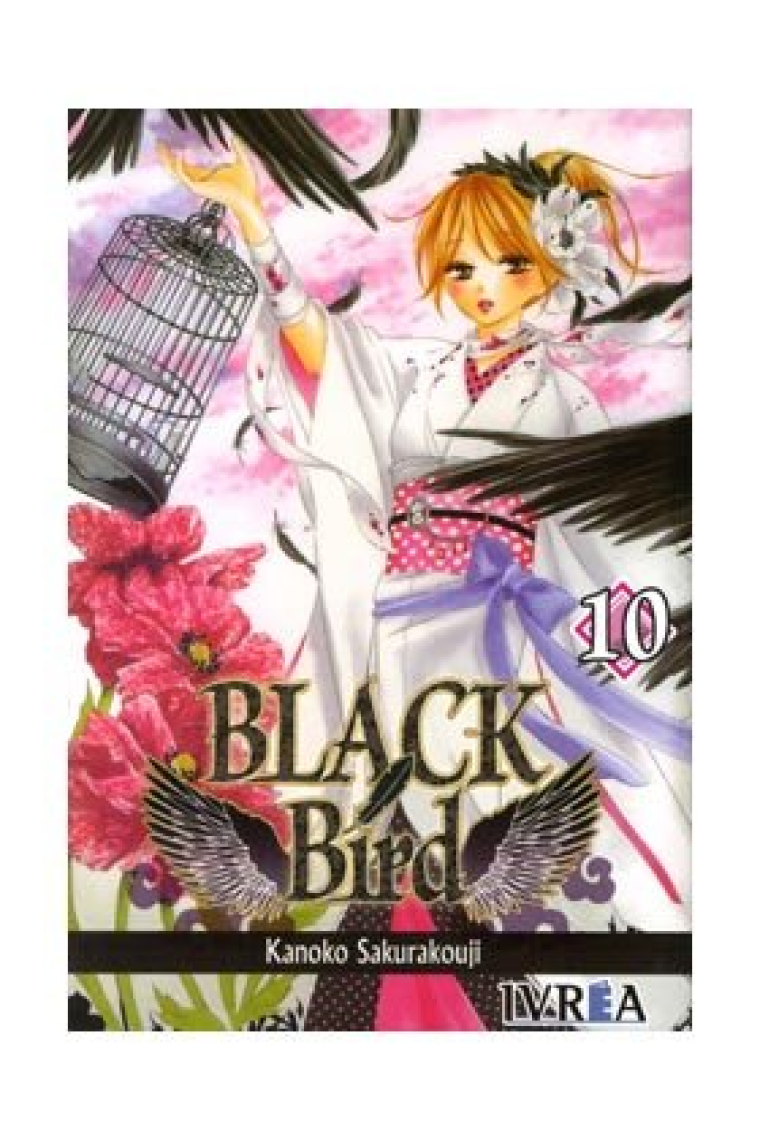 BLACK BIRD 10