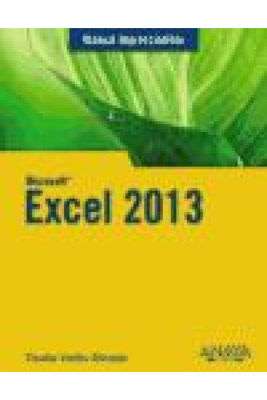 Excel 2013