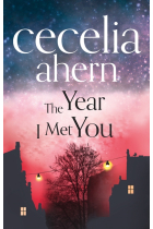 The Year I Met You