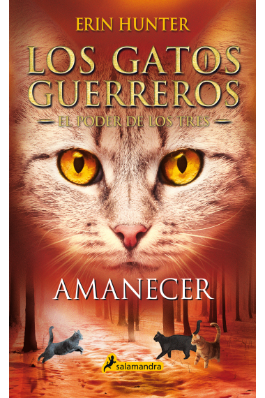 Amanecer (Los Gatos Guerreros | El Poder de los Tres 6)