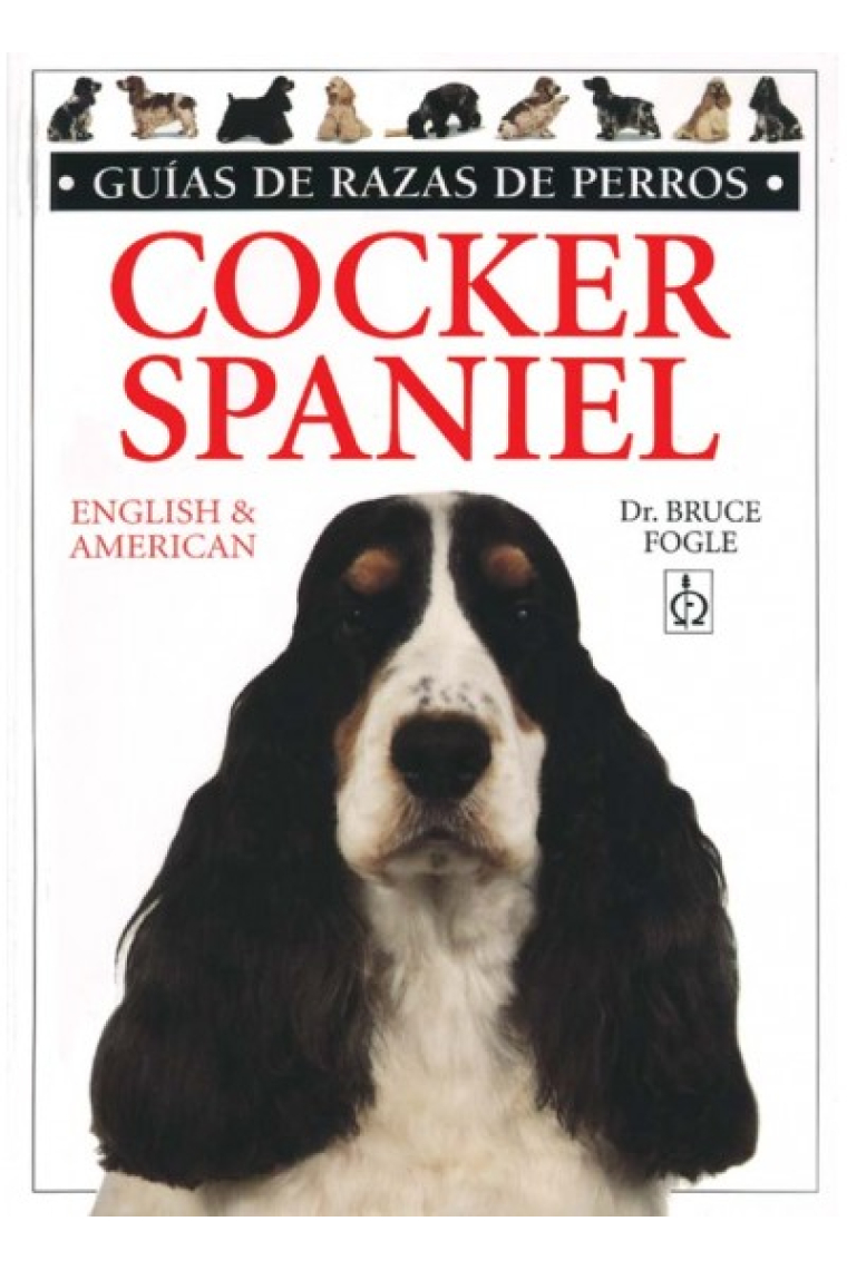 Cocker spaniel english & american.