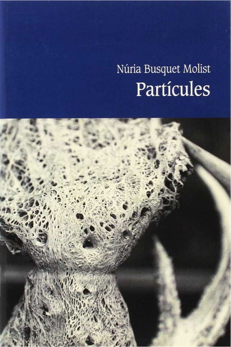 Partícules