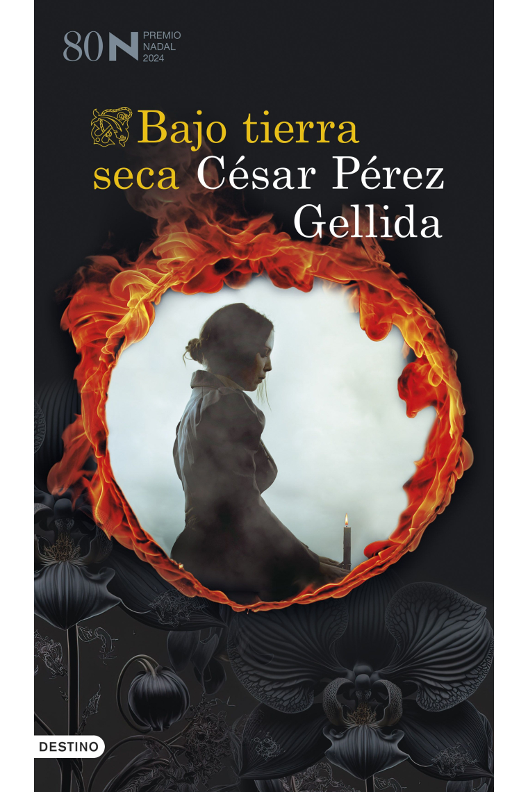Bajo tierra seca (Premio Nadal 2024)