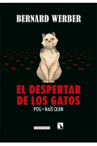 El despertar de los gatos