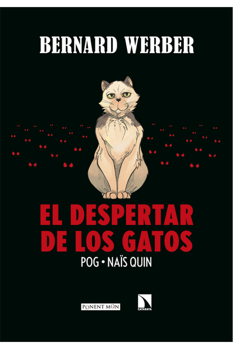 El despertar de los gatos