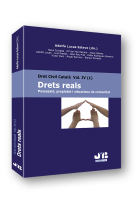 Drets reals. Possessió, propietat i situacions de comunitat. Dret Civil Català Vol. IV (1)