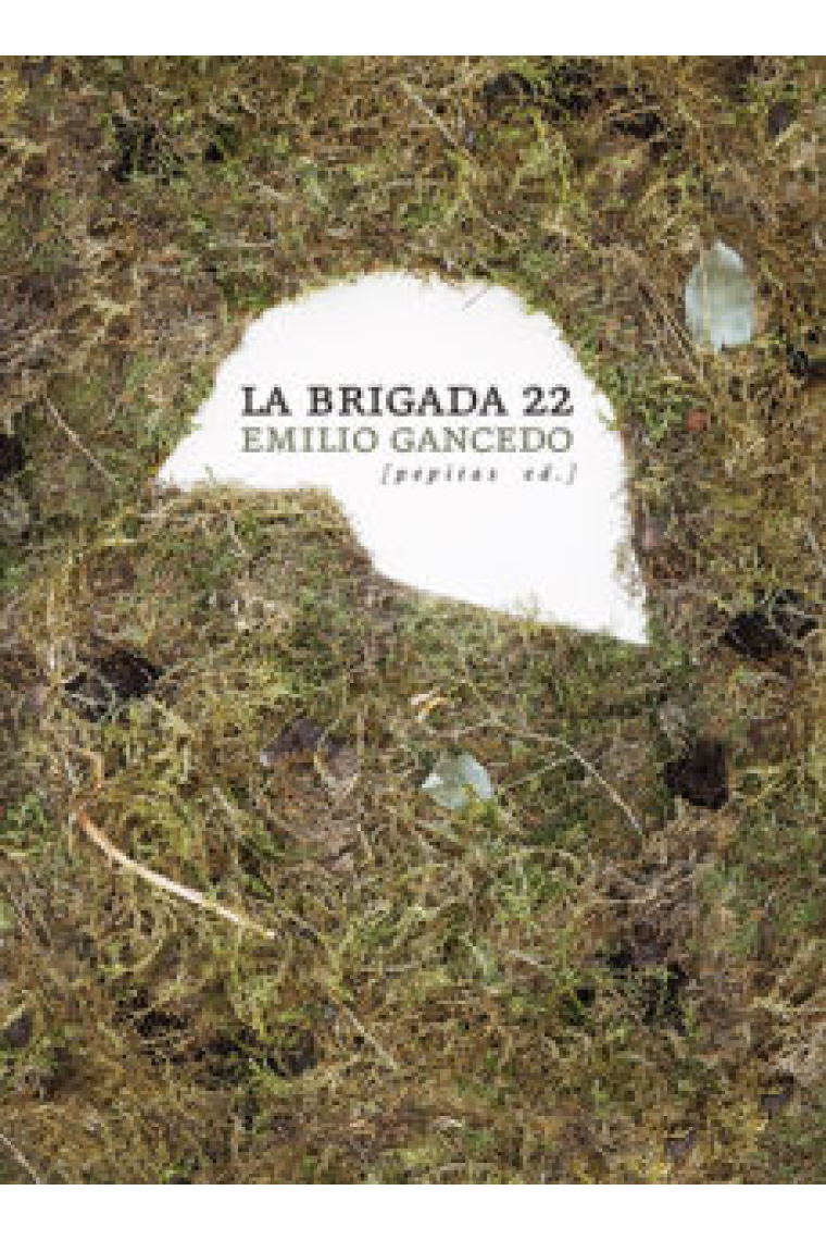 La brigada 22