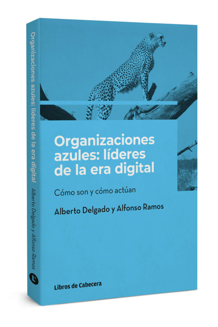 Organizaciones azules: líderes de la era digital. Qué son y cómo actúan