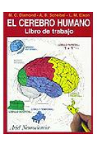 El cerebro humano. Libro de trabajo