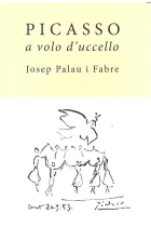 PICASSO A VOLO D'UCCELLO