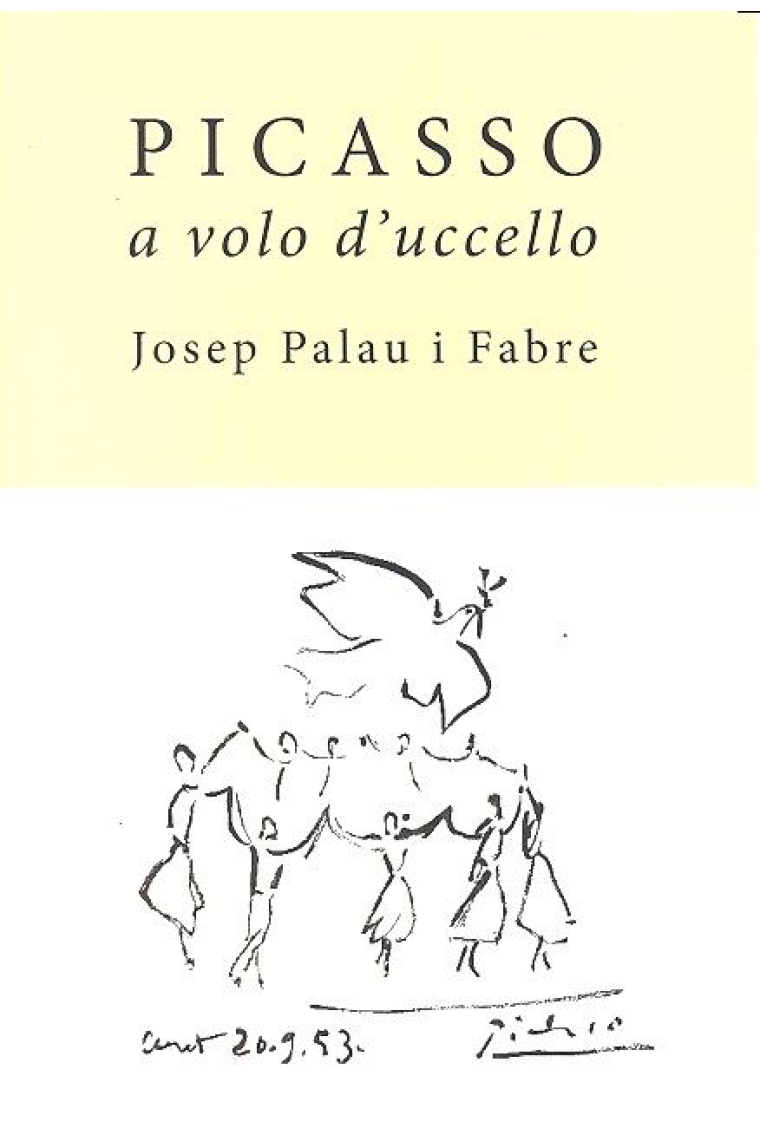 PICASSO A VOLO D'UCCELLO