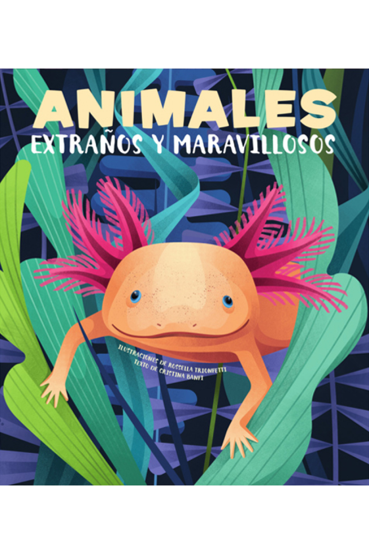 Animales extraños y maravillosos