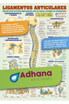 Ligamentos articulares (lámina)