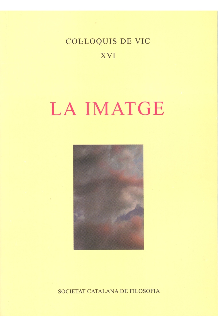 La Imatge: Col·loquis de Vic XVI