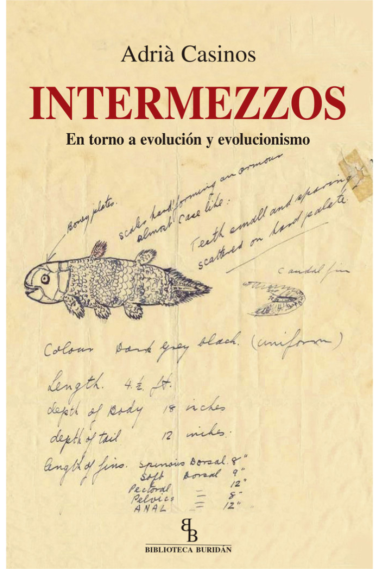 Intermezzos