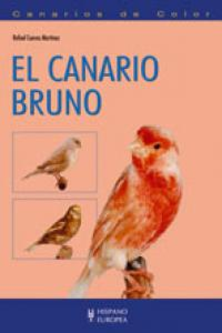 El canario bruno