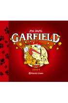 Garfield 13 2002-2004