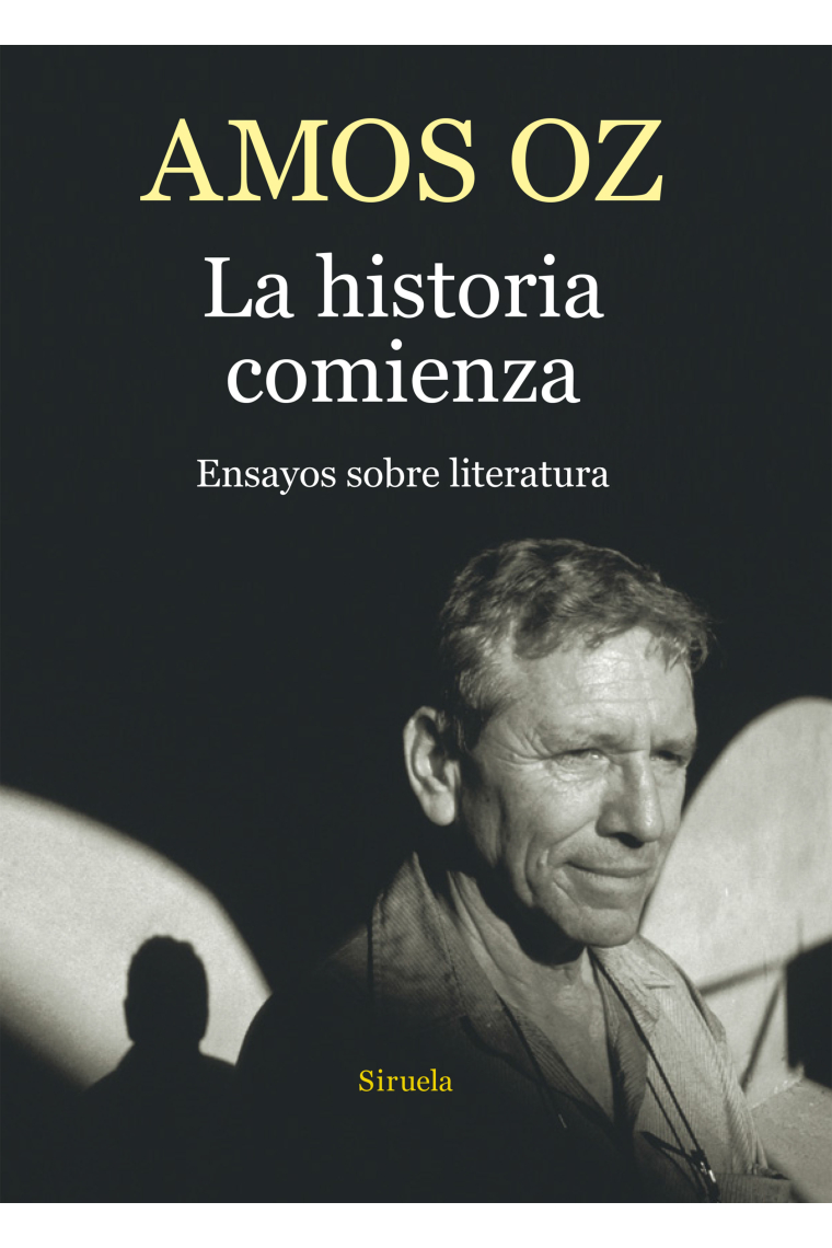 La historia comienza: ensayos sobre literatura