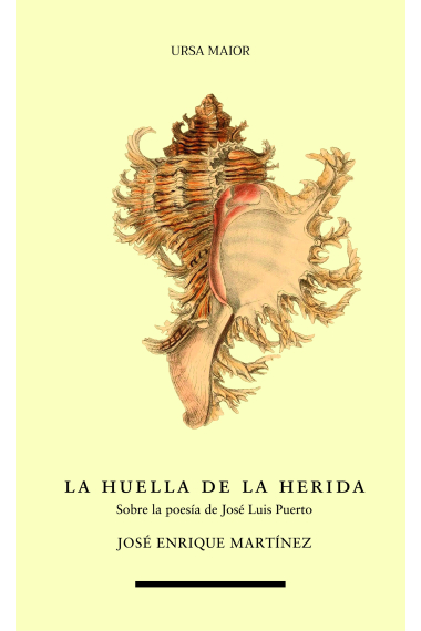 La huella de la herida: sobre la poesía de José Luis Puerto