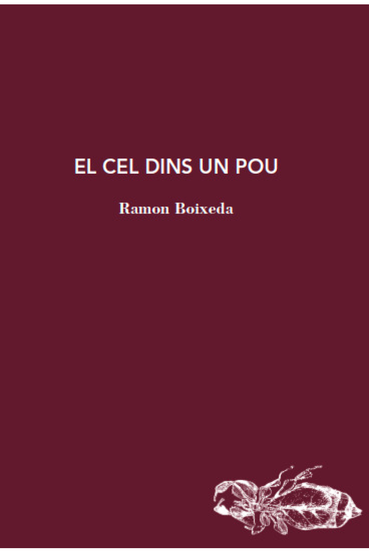 El cel dins un pou