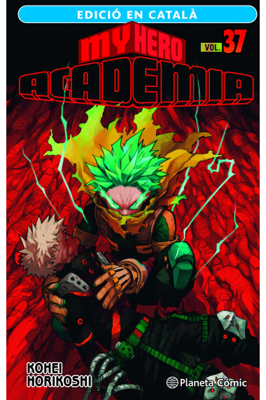 My Hero Academia nº 37