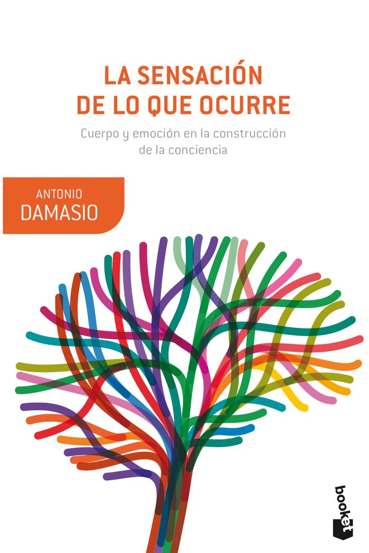 La sensación de lo que ocurre: cuerpo y emoción en la construcción de la conciencia