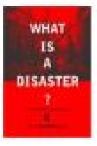 What is a disaster? perspectives on the question