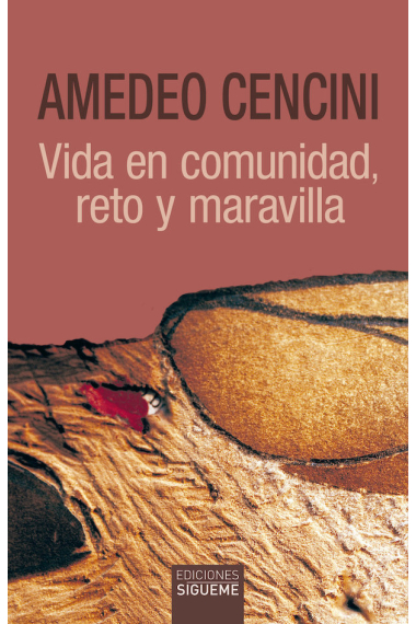 VIDA EN COMUNIDAD RETO Y MARAVILLA