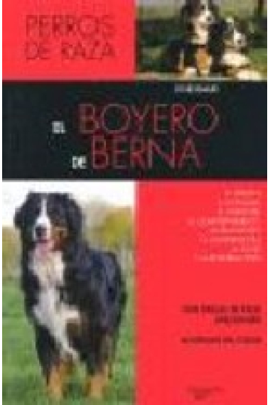 El boyero de berna .Perros de raza