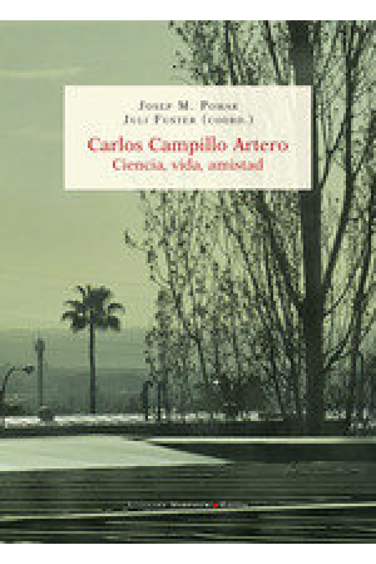 CARLOS CAMPILLO ARTERO
