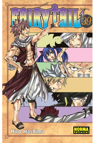 Fairy Tail 39