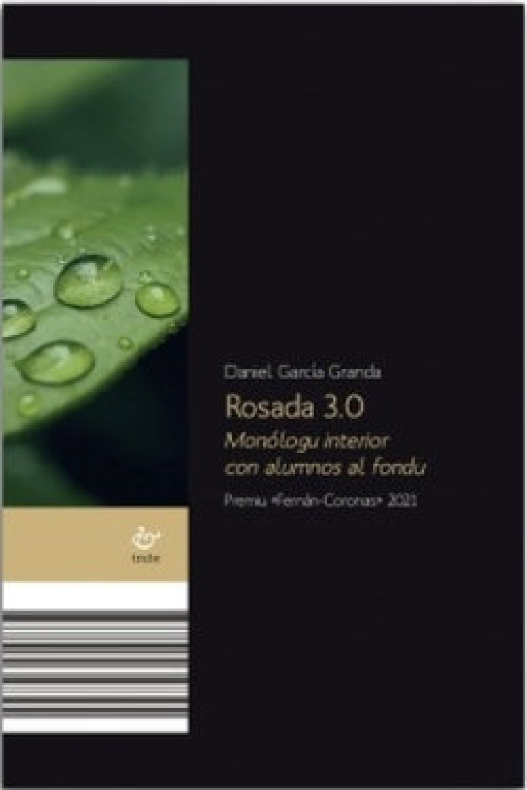 ROSADA 3 0