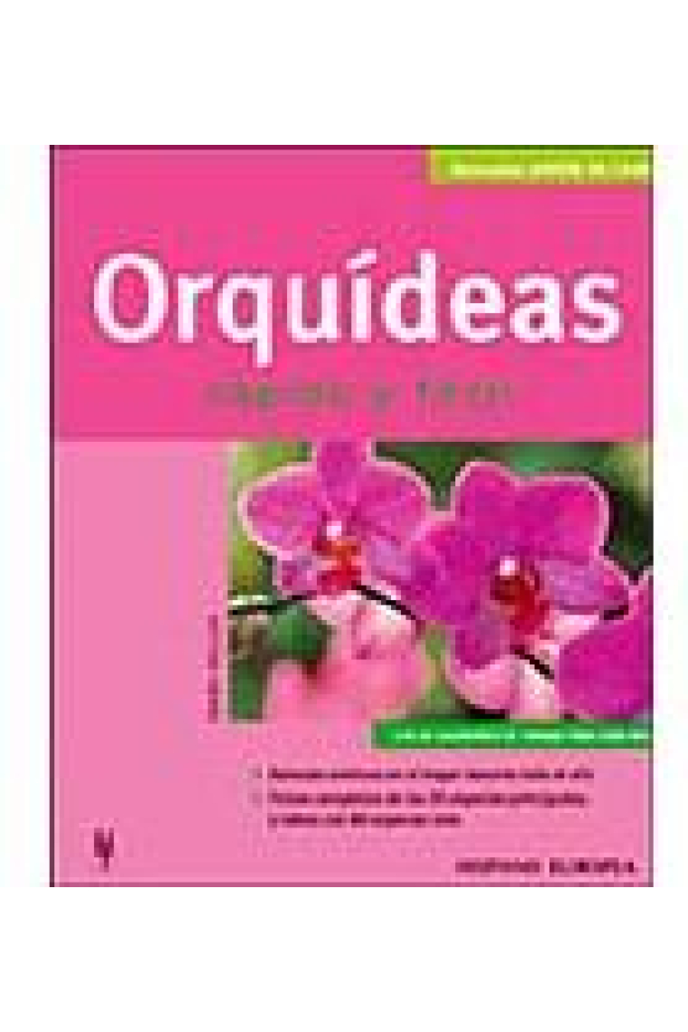 Orquídeas. Rápido y fácil