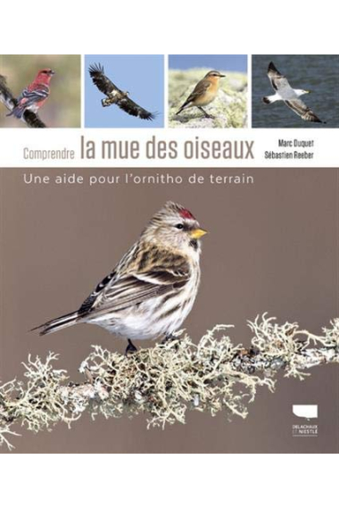 Comprendre la mue des oiseaux : Une aide pour l'ornitho de terrain