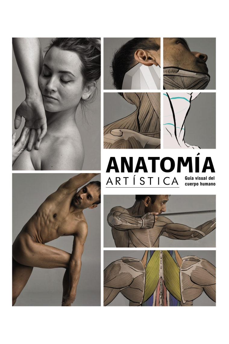 Anatomía artística. Guía visual del cuerpo humano