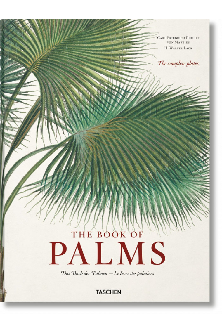 Martius. The Book of Palms