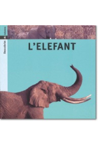 L'elefant