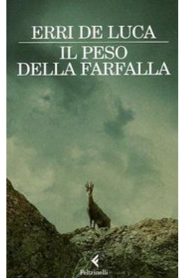 Il peso della farfalla