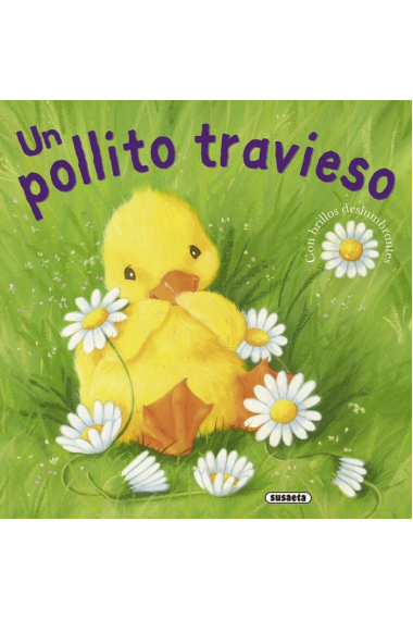 Un pollito travieso