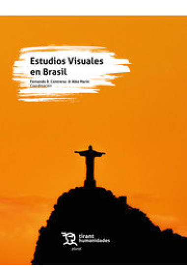 ESTUDIOS VISUALES EN BRASIL